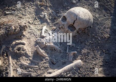 Serbien, 27. September 2019: Menschliche Überreste aus der römischen Zeit bei archäologischen Ausgrabungen in Vinča entdeckt Stockfoto