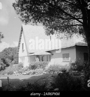 Israel 1964-1965: Haifa, Landschaftsgestaltung und Bau der Karmelberge Anmerkung: Dieses Bild wurde aus dem Schatten eines Baumes aufgenommen Datum: 1964 Ort: Karmel, Haifa, Israel Schlagwörter: Skulpturen, Gärten, Wohnungen Stockfoto