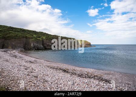 Blick auf eine Bucht an einem klaren Frühlingstag auf einen leeren Kieselstrand entlang der Westküste Schottlands Stockfoto