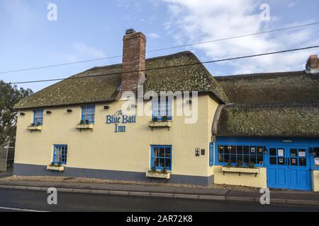 The Blue Ball Inn, Sidford, Pub in der Nähe von Sidmouth, Devon, Großbritannien, Teil der Tavernen von Punch Stockfoto