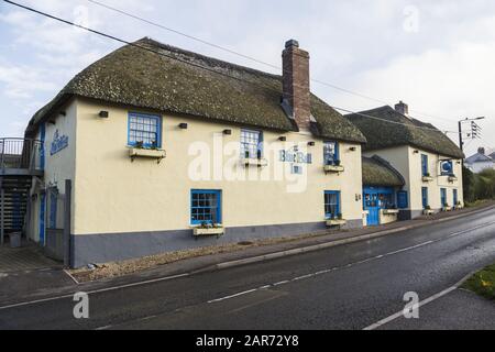 The Blue Ball Inn, Sidford, Pub in der Nähe von Sidmouth, Devon, Großbritannien, Teil der Tavernen von Punch Stockfoto