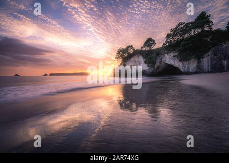 Amazing Cathedral Cove, Coromandel, Neuseeland Stockfoto