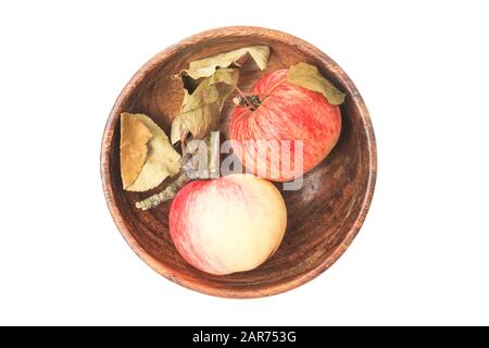 Zwei rote und gelb gefärbte Äpfel liegen in einer runden Holzschale. Früchte haben trockene gewellte Blätter. Herbststillleben. Ernte. Gesunde Ernährung. Isoliert auf weißer BA Stockfoto