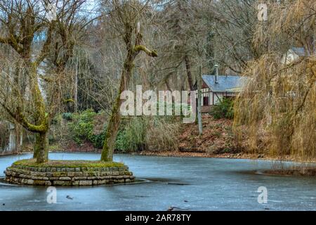 Gefrorener Teich mit winziger Insel mit zwei schönen Bäumen und einem Winter-Chalet im Rücken Stockfoto