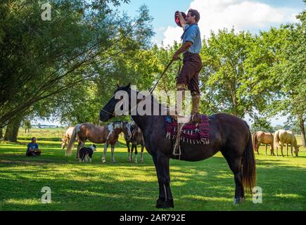 Areco, Argentinien - Januar 22.2018: Ein Gaucho, der auf einem Pferd während eines Volksfestes in einem Landgut 70 Meilen nordwestlich von Buenos Aires steht Stockfoto