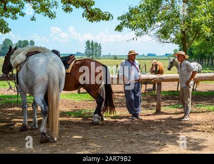 Areco, Argentinien - 22.2018: Gauchos und Pferde in einem Landgut 112 km nordwestlich von Buenos Aires Stockfoto