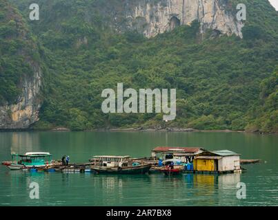Fischfarm mit Kalksteinfelsen, Lan ha Bay, Vietnam, Asien Stockfoto
