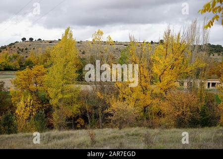 Guadalajaras Felder sind im Herbst farbig gefasst Stockfoto