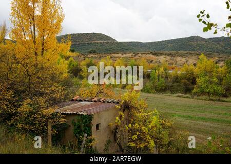 Guadalajaras Felder sind im Herbst farbig gefasst Stockfoto