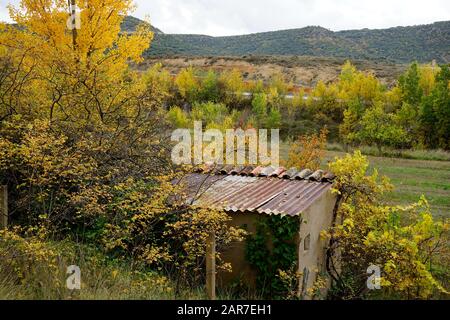 Guadalajaras Felder sind im Herbst farbig gefasst Stockfoto