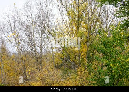 Guadalajaras Felder sind im Herbst farbig gefasst Stockfoto