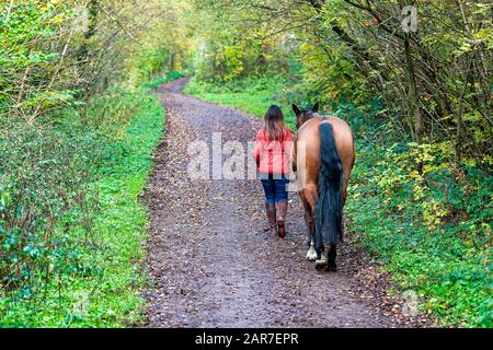 Großbritannien, Sheffield - Oktober 2020: Frau in einer roten Jacke, die mit einem Pferd auf einem Waldweg spazieren geht Stockfoto