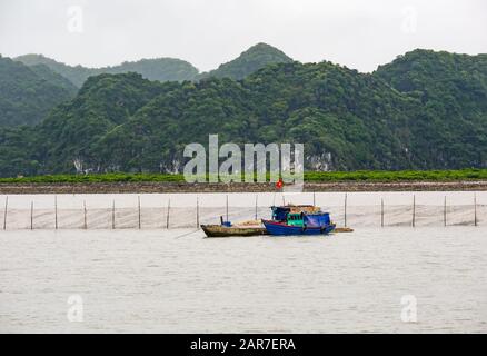 Fischerboote und -Netze in der Halong Bay mit Bergen, Vietnam, Asien Stockfoto