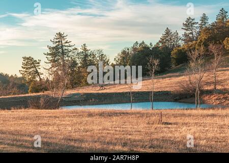 Ländliche Szene blauer Ententeich, kleiner See mit Kiefern- und Eichwald dahinter und Trockenrasen im Vordergrund, Reflexionen von Streubäumen im Teich Stockfoto
