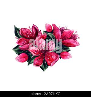Pflaumenblüten Blumen, Aquarell Hand gezeichnet asiatisch rosa Blumen Bund mit Blumenknospen. Botanische Illustration von chinesischen Pflaumen, apfel- oder japanischen Aprikosenblüten, Blumenschmuck Vintage-Kunstdesign Stockfoto