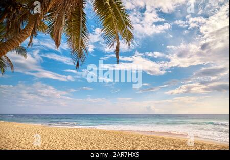 Tropischer Strand mit Kokospalme bei Sonnenuntergang, Sommerferienkonzept. Stockfoto