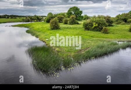 Der Fluss Shannon bildet von der Brücke bei Shannonbridge die Grenze zwischen Counties Offaly und Roscommon und den Provinzen Connacht und Leinster Stockfoto