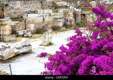 Blumen auf den Ruinen der Bibliothek von Hadrian, Athen, Griechenland. Die Hadriansbibliothek ist eines der wichtigsten Wahrzeichen Athens. Blick auf die antike Struktur in Stockfoto