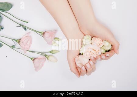 Nahaufnahme schöne ausgeklügelte weibliche Hände mit rosafarbenen Blumen auf weißem Hintergrund. Konzept Handpflege, Knickschutz, Anti-Aging-Creme, Spa Stockfoto