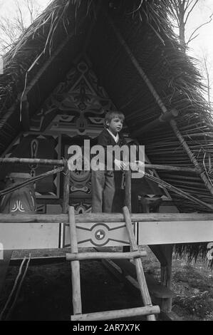 Prinz Maurits bekommt an seinem vierten Geburtstag eine surinamesische Waldkreolhütte der niederländischen Handelsmarine Prins Maurits Anmerkung: Es handelt sich um ein Pfahlhaus aus Boslandcreolen oder Marrons Datum: 17. april 1972 Schlagwörter: Fürsten, Geburtstage persönlicher Name: Maurits, Fürst Stockfoto