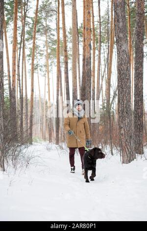 Junger Mann in legerer Winterkleidung, der an der Leine hält, während er schwarzen Retriever folgt Stockfoto