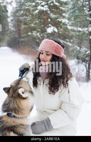 Hübsche junge Frau mit dunkellangem lockigem Haar, die reinrassige sibirische Husky füttert Stockfoto
