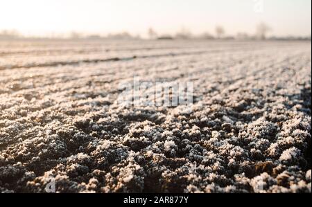 Gefrorener Boden mit Huffrost auf einem Bauernfeld. Unvorhersehbares Wetter, globale Klimadestabilisierung. Wettervorhersage und Entwicklungszeitstrategie für Stockfoto