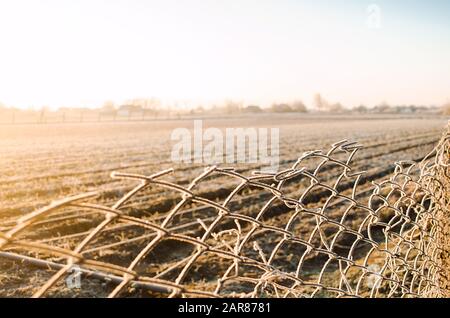 Winterfarmfeld mit Blick auf einen Gitterzaun. Schöner Sonnenaufgang auf dem Land. Frost am Zaungitter, frostige Kälte. Eigentumsfechten und Viehschranken Stockfoto