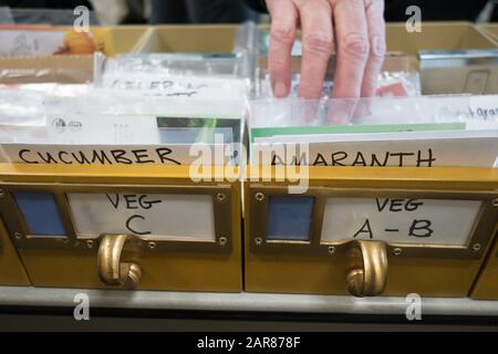 Die Menschen wählen die Samen aus, die sie bei der Eröffnung der Bibliothek für den Samenaustausch, Teil der öffentlichen Bibliothek in Eugene, Oregon, USA, mit nach Hause nehmen können. Stockfoto