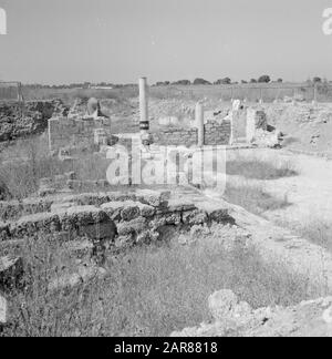 Israel 1964-1965: Caesarea, Archäologische Überreste von Gebäuden Anmerkung: Caesarea ist ein Dorf und ein archäologischer Park in Israel, der im Bezirk Haifa liegt. Sie liegt etwa zwischen Tel Aviv und Haifa im Mittelmeer. Im Hinblick auf die Antike wird sie auch Caesarea Maritima genannt. Bei Caesarea wurden seit Jahrzehnten Ausgrabungen durchgeführt, und es gibt viel zu sehen. Es ist eine Touristenattraktion Datum: 1964 Ort: Caesarea, Israel Schlüsselwörter: Säulen, Ruinen Stockfoto