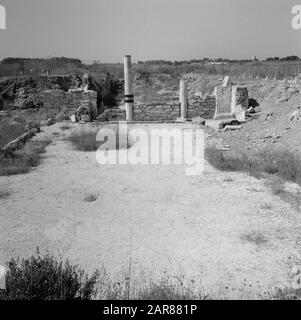 Israel 1964-1965: Caesarea, Archäologische Überreste von Gebäuden Anmerkung: Caesarea ist ein Dorf und ein archäologischer Park in Israel, der im Bezirk Haifa liegt. Sie liegt etwa zwischen Tel Aviv und Haifa im Mittelmeer. Im Hinblick auf die Antike wird sie auch Caesarea Maritima genannt. Bei Caesarea wurden seit Jahrzehnten Ausgrabungen durchgeführt, und es gibt viel zu sehen. Es ist eine Touristenattraktion Datum: 1964 Ort: Caesarea, Israel Schlüsselwörter: Säulen, Ruinen Stockfoto