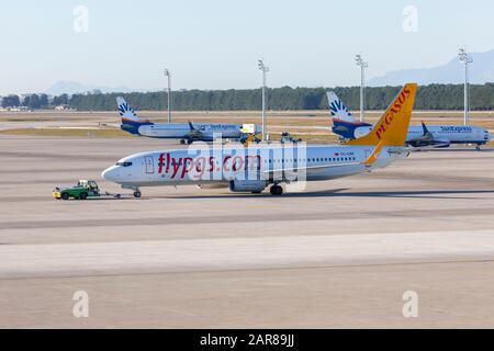 Antalya/TÜRKEI - 24. JANUAR 2020: Boing 737- 800 von Pegasus Airline auf Rückschlag in Antalya, Türkei. Stockfoto