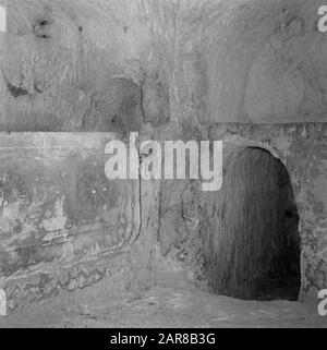 Israel 1964-1965: Jerusalem (Jerusalem), Sanhedrin (jüdischer Hof) Sarkophag mit Aufschriften von Symbolen der Blumen im unterirdischen Raum in einer Grabung des Sanhedrin (jüdischer Hof) Anmerkung: Der Sanhedrin, der jüdische Hof, funktionierte vom vierten Jahrhundert v. Chr. bis zum fünften Jahrhundert nach Christus. Für den Sanhedrin wurde ein Gebäude mit einer Fläche von 2000 Quadratmetern und 25 Zimmern errichtet. Es wird auch angenommen, dass es sich bei dem Gebäude um einen Palast von Herodes Antipas handelte, Sohn des Herodes des großen Datums: 1964 Ort: Israel, Jerusalem Schlüsselwörter: Särge, Gräber, Aufschriften, unterirdisch, Raum, Symbole Stockfoto