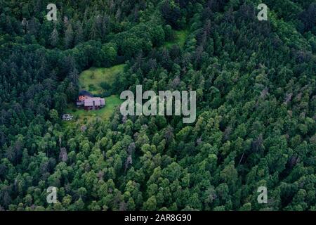 Luftaufnahme eines einsamen Hauses inmitten eines dichten Waldes von Bäumen, Juneau, Alaska, USA Stockfoto