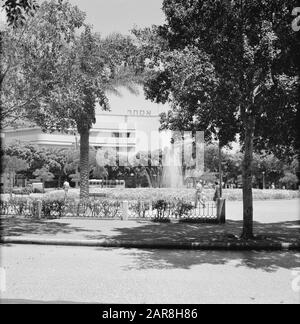 Israel 1964-1965: Tel Aviv, Diezengoff Stadtpark mit Bäumen und einem Brunnen, vermutlich Diezengoff Circle Square Datum: 1964-1965 Ort: Israel, Tel Aviv Schlüsselwörter: Bäume, Brunnen, Gebäude, Parks, Straßenmöbel Stockfoto