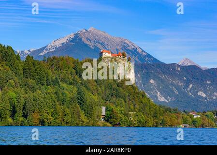 Bled Castle, eine mittelalterliche Burg am Bleder See in Slowenien Stockfoto