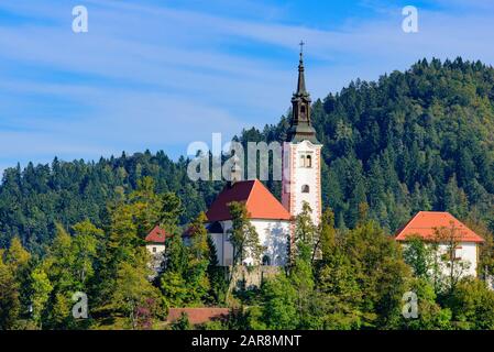 Bled Island am Bleder See, ein beliebtes Touristenziel in Slowenien Stockfoto