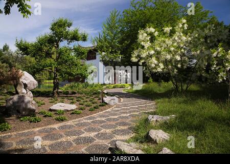 Kiessteinweg mit weißem Chionanthus virginicus - Fringe Tree, Grenze mit gelber Iris pseudacorus 'Variegata' und dem Steinboot-Pavillon Stockfoto