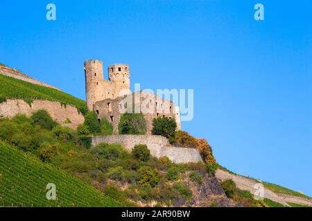 Historische Burg Maus, St. Goar Deutschland aus am Rhein gesehen Stockfoto