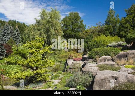 Alpengarten mit Nadelbäumen, Laubbäumen, mehrjährigen Pflanzen und Sträuchern im Sommer Stockfoto
