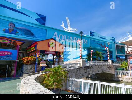 Cancun, Mexiko - 20. Dezember 2019: Interaktives Cancun Interactive Cancun Aquarium im größten Einkaufszentrum La Isla. Das Aquarium beherbergt Stockfoto