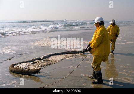 Mit harten Hüten und Sicherheitskleidung ziehen Arbeitsleute an einem handgesteuerten Ausleger, um Ölverschmutzung durch einen Tankerausstoß am Huntington Beach, CA, zu beseitigen. Stockfoto