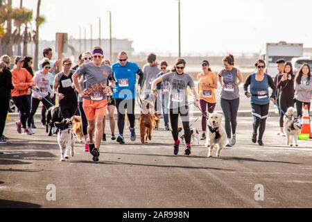 Die begeisterten Hundebesitzer, die ihre Haustiere an Leinen halten, verlassen die Startlinie eines 10.000-km-Rennens "Doggie Dash" auf einem Weg am Meer in Huntington Beach, CA. Stockfoto