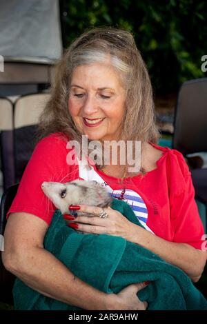 Eine Seniorin umarmt liebevoll ein mit Handtuch verpacktes Haustier in Newport Beach, CA. Stockfoto