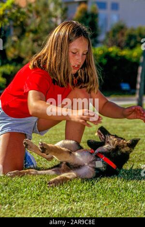 Ein zehnjähriges Mädchen spielt mit ihrem Deutschen Schäferhund, der in einem Laguna Niguel, CA, Park wieder bei ihr schnappt. MODELLFREIGABE Stockfoto