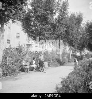 Israel 1948-1949: Tel Aviv Frauen mit Kindern in einem Park in Tel Aviv Datum: 1948 Ort: Israel, Tel Aviv Schlüsselwörter: Bäume, Kinder, Parks, Straßenmöbel, Wohngebiete Stockfoto