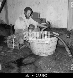 Wine Company Carmel Mizrachi Weingüter in Rishon le Zion. Drusem wird in die Tabakwaren gezapft Datum: 1. Januar 1960 Standort: Israel, Rishon le Zion Schlüsselwörter: Arbeiter, Industrie, Weinanbau Stockfoto