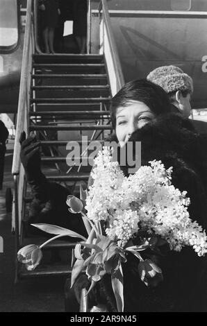 Zizen Jeanmaire kam in den Niederlanden an. Zizi Jeanmiare auf Schiphol Datum: 25. Februar 1963 Stichwörter: Ankunft persönlicher Name: Zizen, Jeanmaire Stockfoto