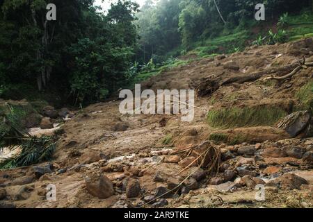 Sumedang, Indonesien. Januar 2020. Ein Blick auf ein beschädigtes Gebiet, das vom Erdrutsch in Cilipung Village getroffen wurde.Heftige Regenfälle, die am 26. Januar einige Gebiete durchspülten und einen Erdrutsch verursachten, der zwei Menschen tötete und zwei weitere verletzte und Reisfelder der Bewohner erntete. Kredit: Algi Febri Sugita/SOPA Images/ZUMA Wire/Alamy Live News Stockfoto