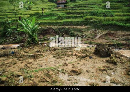 Sumedang, Indonesien. Januar 2020. Ein Blick auf ein beschädigtes Gebiet, das vom Erdrutsch in Cilipung Village getroffen wurde.Heftige Regenfälle, die am 26. Januar einige Gebiete durchspülten und einen Erdrutsch verursachten, der zwei Menschen tötete und zwei weitere verletzte und Reisfelder der Bewohner erntete. Kredit: Algi Febri Sugita/SOPA Images/ZUMA Wire/Alamy Live News Stockfoto